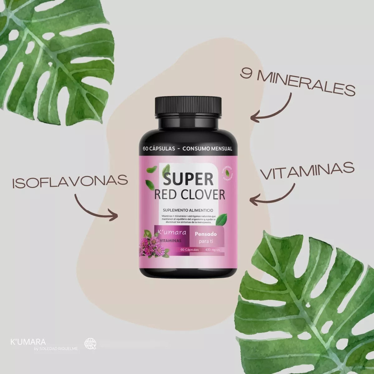 Suplemento para la Menopausia 60 cápsulas - SUPER RED CLOVER